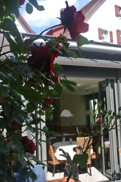 Отель Hotel-Restaurant Goldenes Lamm